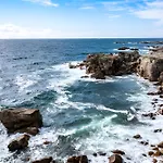 Nid Douillet Entre Et Port * Le Pouliguen