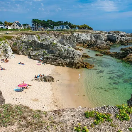 Nid Douillet Entre Et Port Le Pouliguen